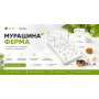 Муравьиная ферма с ареной комплект